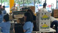 Department of Pediatrics Team Members volunteer at food drive.